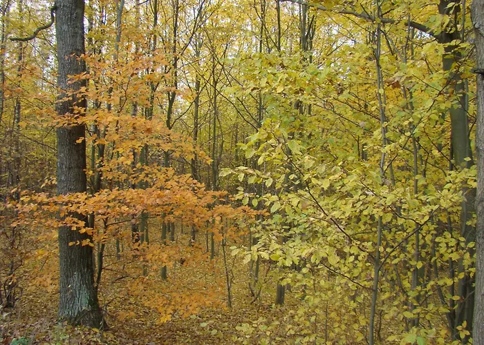 Villa Dom Pod Flaga Sobącz